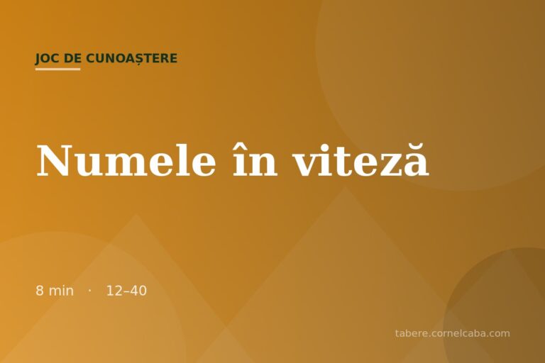 Ilustrație pentru jocul Numele în viteză