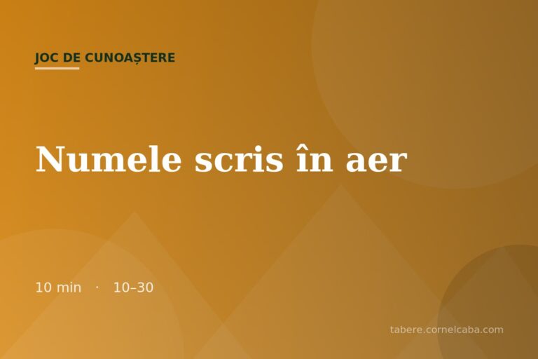 Ilustrație pentru jocul Numele scris în aer