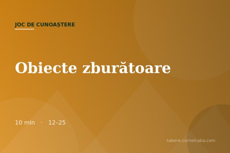 Ilustrație pentru jocul Obiecte zburătoare