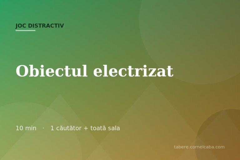 Ilustrație pentru jocul Obiectul electrizat