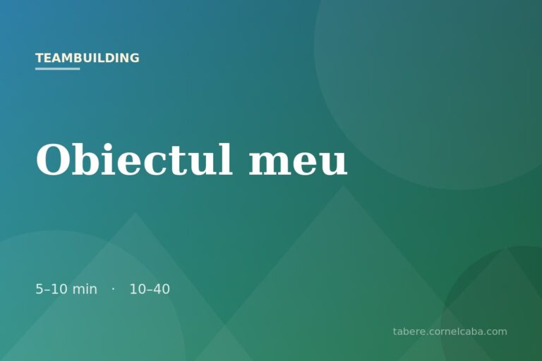 Ilustrație pentru jocul Obiectul meu