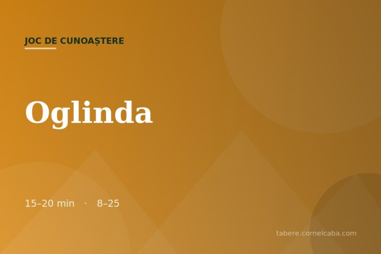 Ilustrație pentru jocul Oglinda