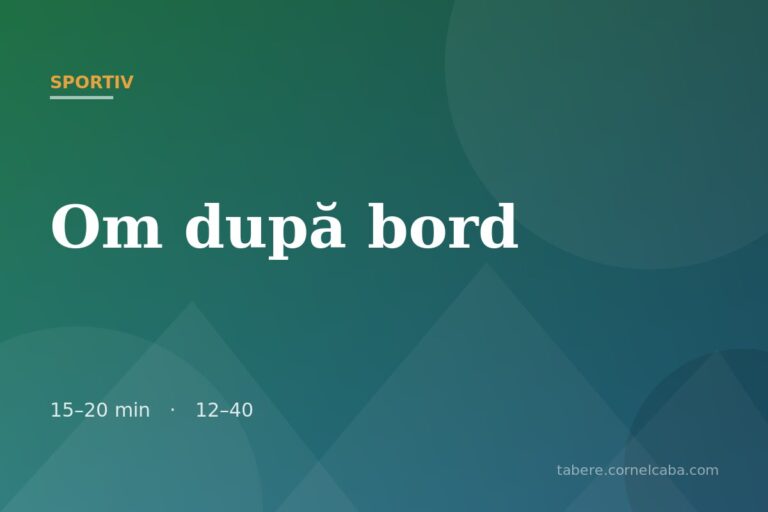 Ilustrație pentru jocul Om după bord