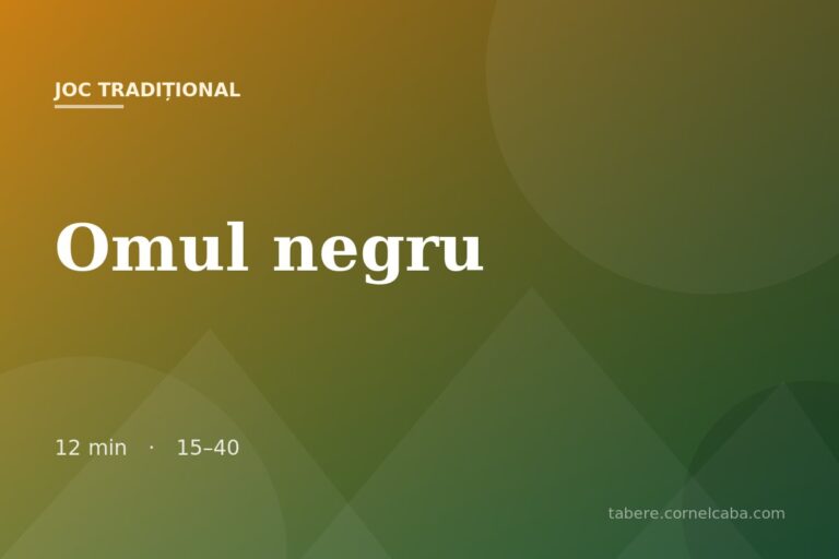 Ilustrație pentru jocul Omul negru