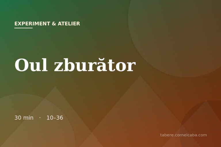 Ilustrație pentru jocul Oul zburător