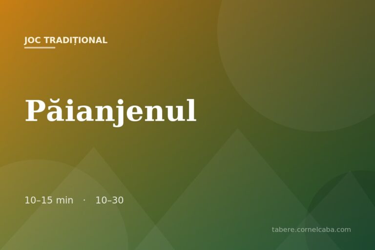 Ilustrație pentru jocul Păianjenul