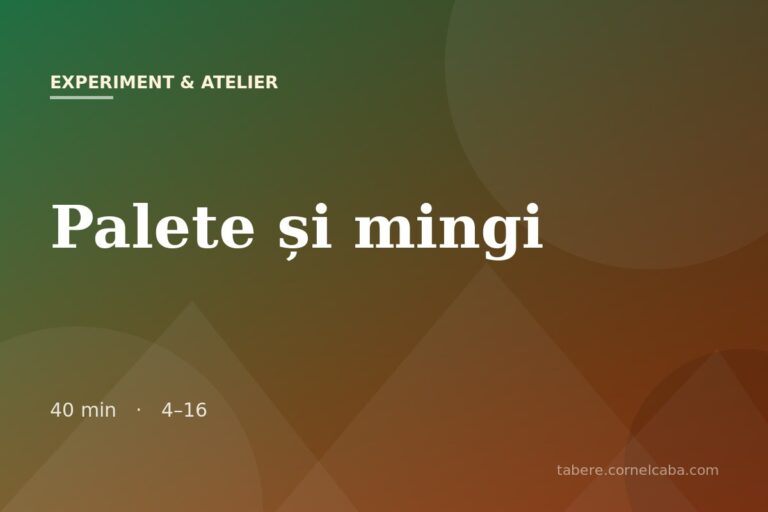 Ilustrație pentru jocul Palete și mingi