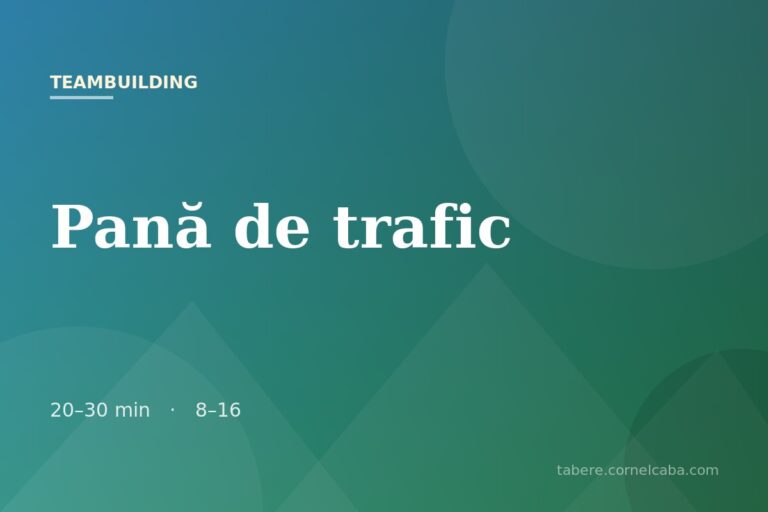 Ilustrație pentru jocul Pană de trafic