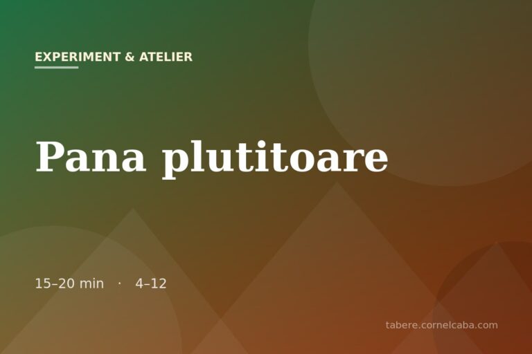 Ilustrație pentru jocul Pana plutitoare