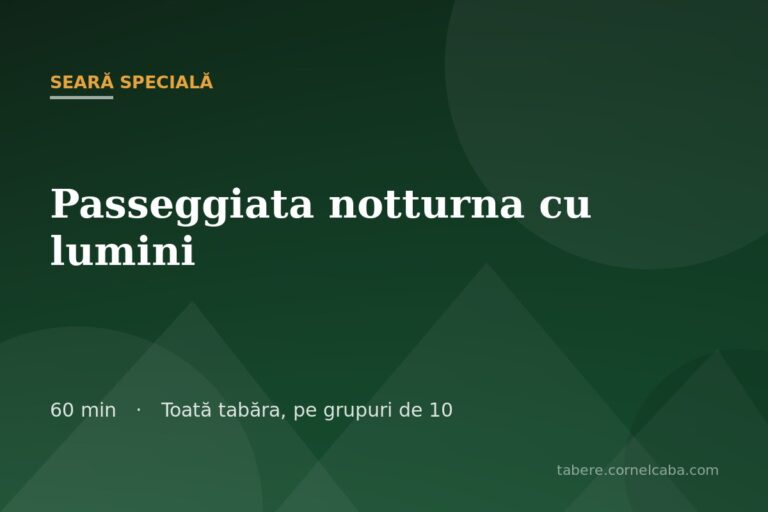 Ilustrație pentru jocul Passeggiata notturna cu lumini