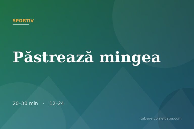 Ilustrație pentru jocul Păstrează mingea