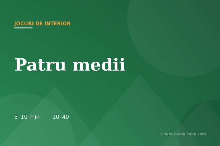 Ilustrație pentru jocul Patru medii