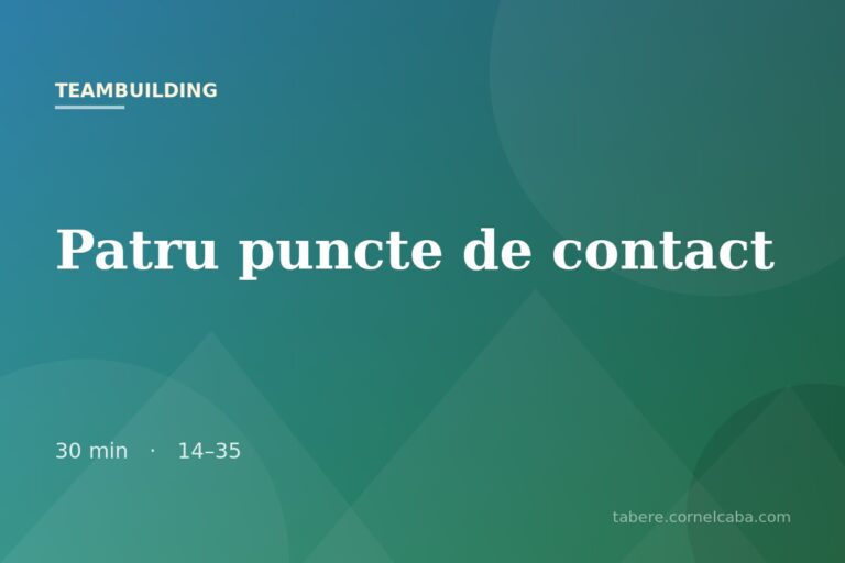 Ilustrație pentru jocul Patru puncte de contact