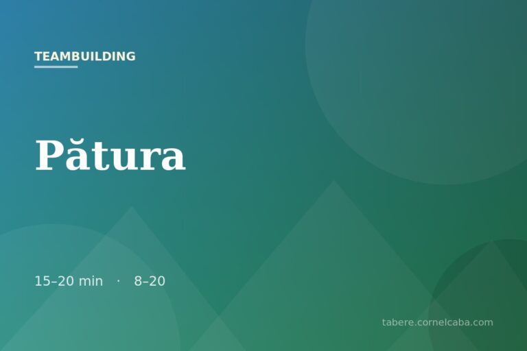 Ilustrație pentru jocul Pătura
