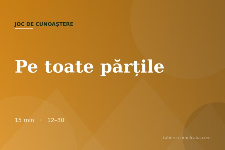 Ilustrație pentru jocul Pe toate părțile