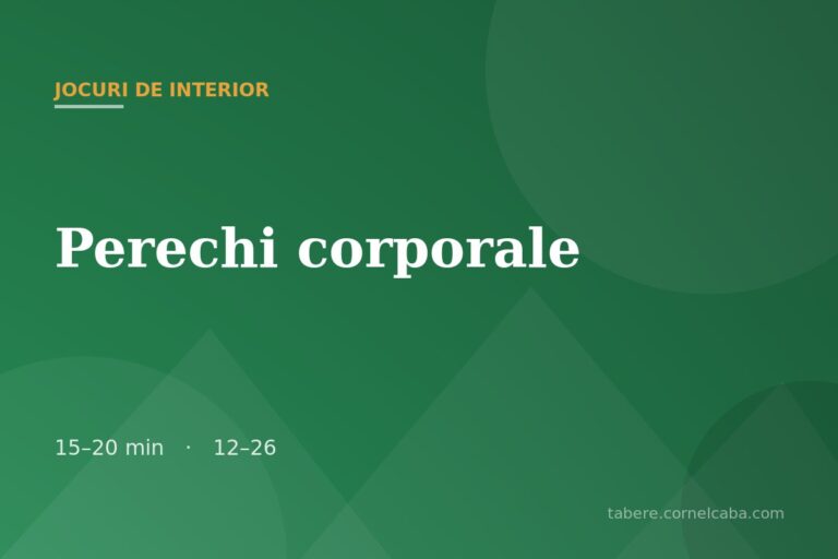 Ilustrație pentru jocul Perechi corporale