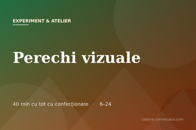 Ilustrație pentru jocul Perechi vizuale