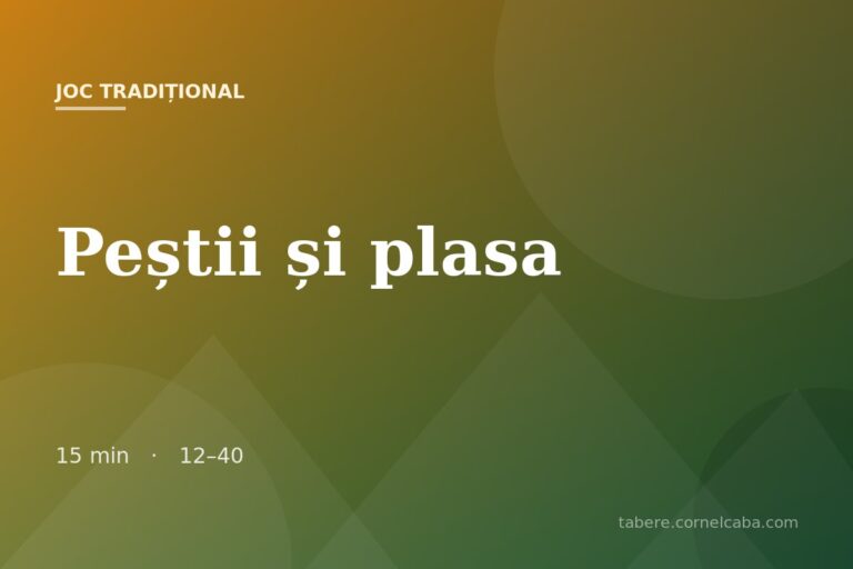 Ilustrație pentru jocul Peștii și plasa
