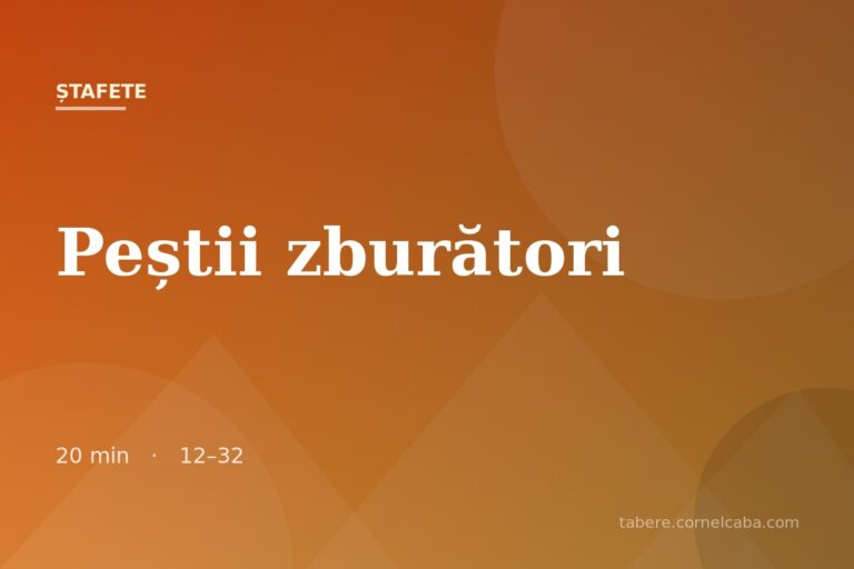 Ilustrație pentru jocul Peștii zburători