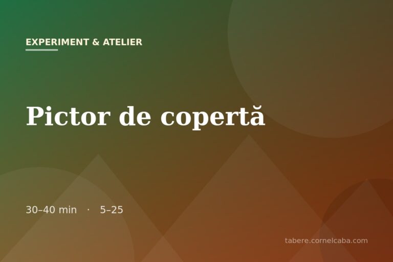 Ilustrație pentru jocul Pictor de copertă