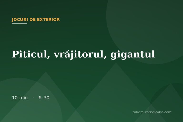 Ilustrație pentru jocul Piticul, vrăjitorul, gigantul