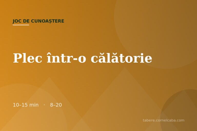 Ilustrație pentru jocul Plec într-o călătorie