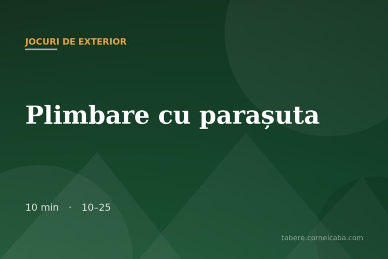 Ilustrație pentru jocul Plimbare cu parașuta