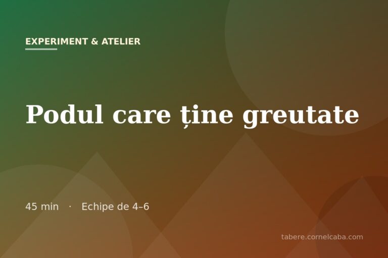 Ilustrație pentru jocul Podul care ține greutate