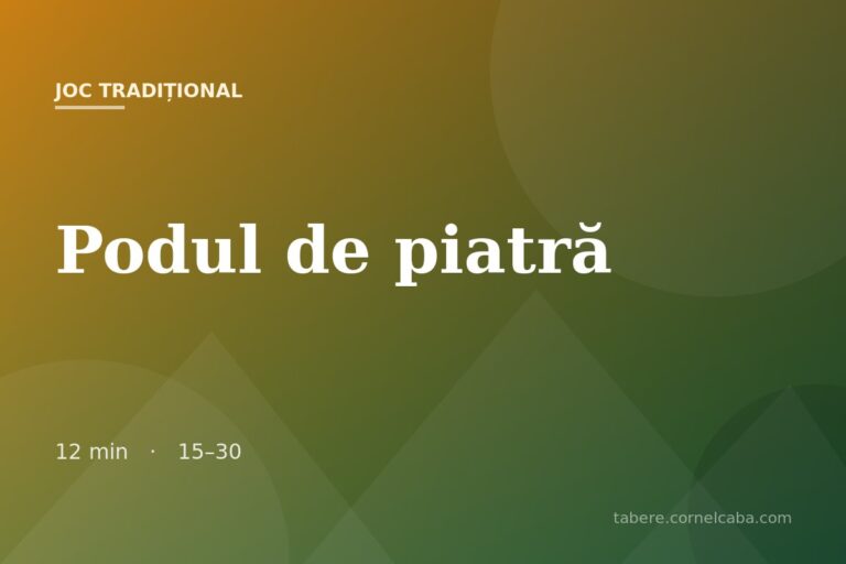 Ilustrație pentru jocul Podul de piatră