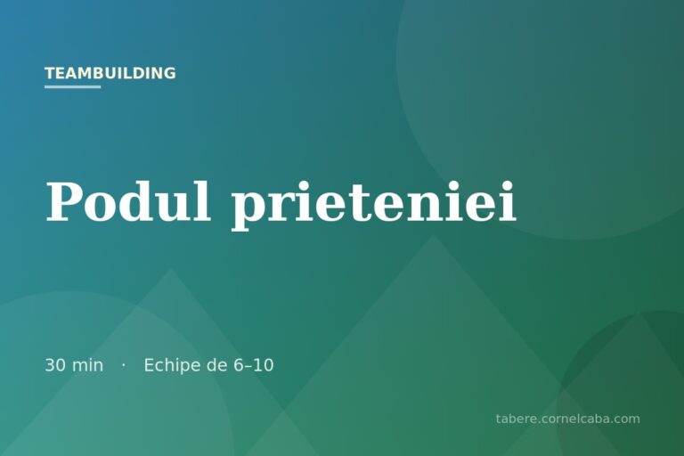 Ilustrație pentru jocul Podul prieteniei
