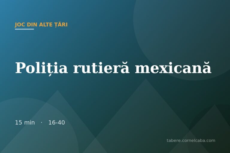 Ilustrație pentru jocul Poliția rutieră mexicană