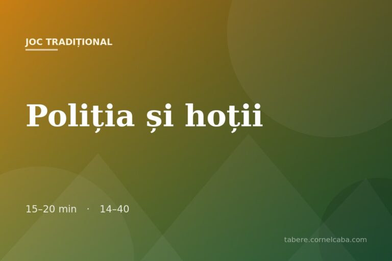 Ilustrație pentru jocul Poliția și hoții