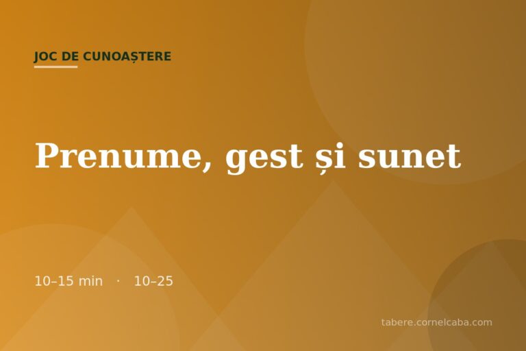 Ilustrație pentru jocul Prenume, gest și sunet