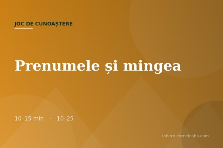 Ilustrație pentru jocul Prenumele și mingea