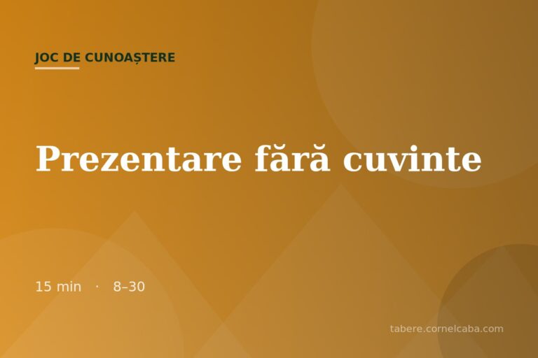 Ilustrație pentru jocul Prezentare fără cuvinte