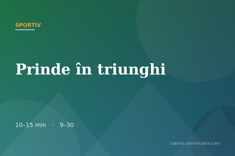 Ilustrație pentru jocul Prinde în triunghi