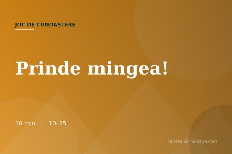 Ilustrație pentru jocul Prinde mingea!