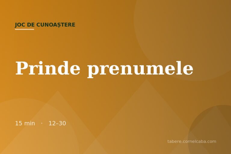 Ilustrație pentru jocul Prinde prenumele