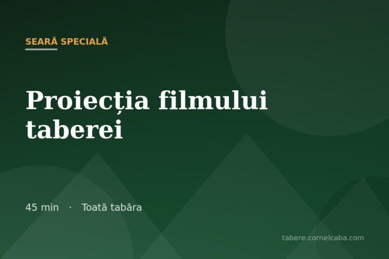 Ilustrație pentru jocul Proiecția filmului taberei