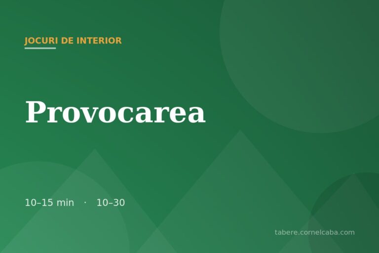 Ilustrație pentru jocul Provocarea