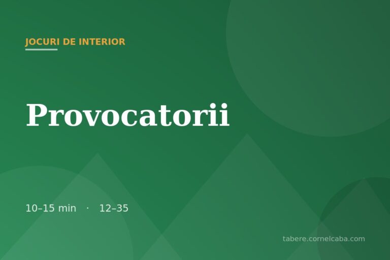 Ilustrație pentru jocul Provocatorii