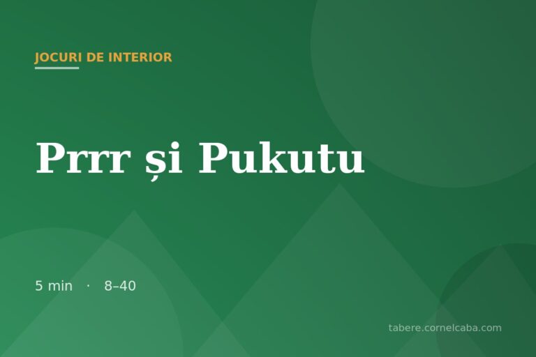 Ilustrație pentru jocul Prrr și Pukutu
