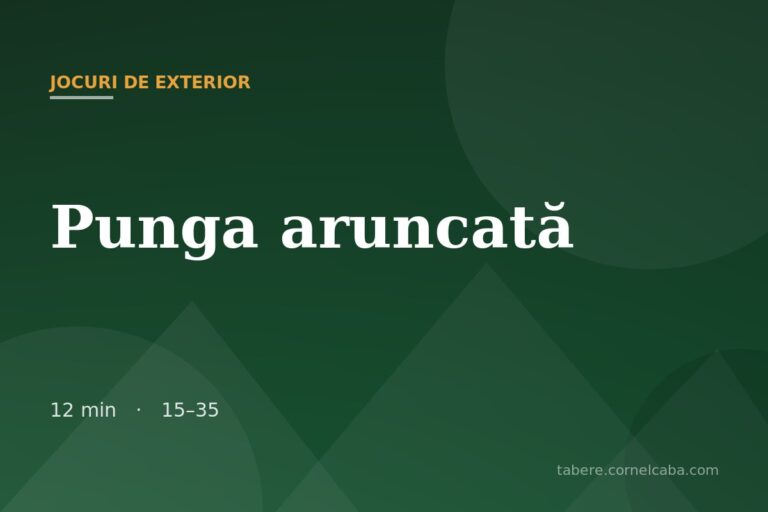 Ilustrație pentru jocul Punga aruncată
