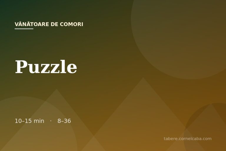 Ilustrație pentru jocul Puzzle