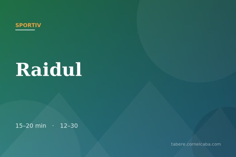 Ilustrație pentru jocul Raidul