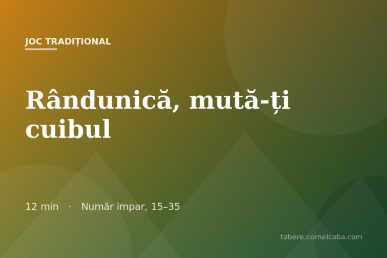 Ilustrație pentru jocul Rândunică, mută-ți cuibul