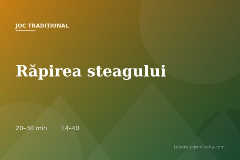 Ilustrație pentru jocul Răpirea steagului