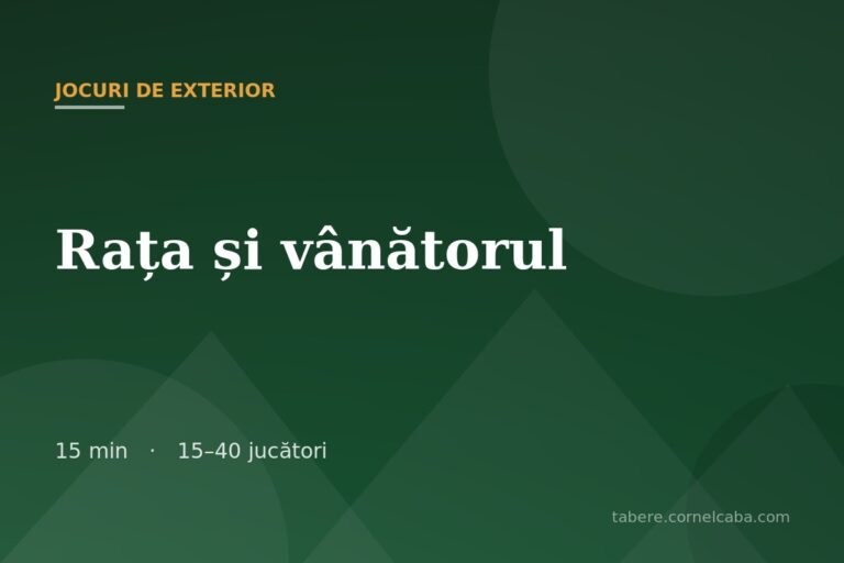 Ilustrație pentru jocul Rața și vânătorul