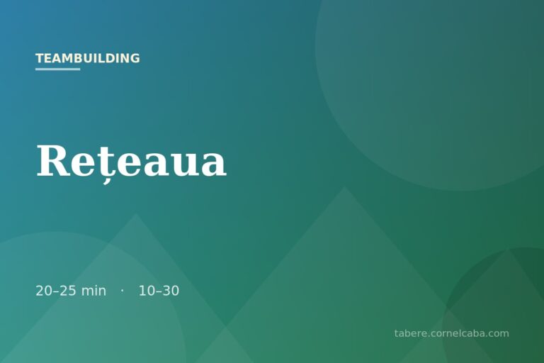 Ilustrație pentru jocul Rețeaua