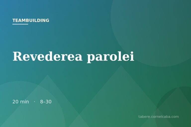 Ilustrație pentru jocul Revederea parolei
